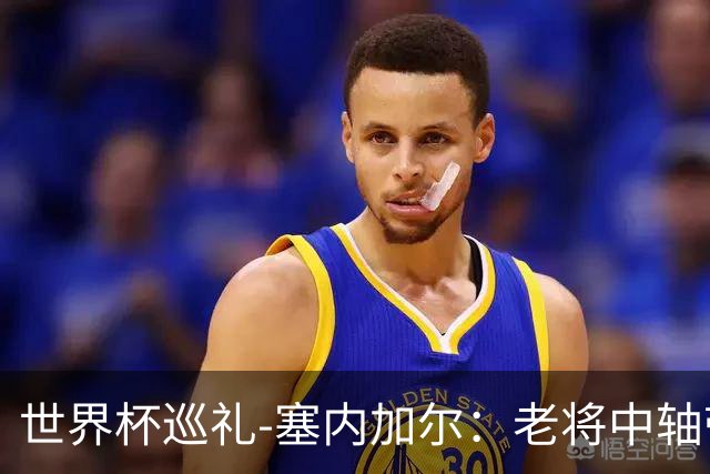 世界杯巡礼-塞内加尔：老将中轴带来安全感，非洲顶流前景可期！